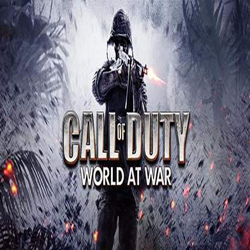 Call of Duty: World at War Server Hosting
